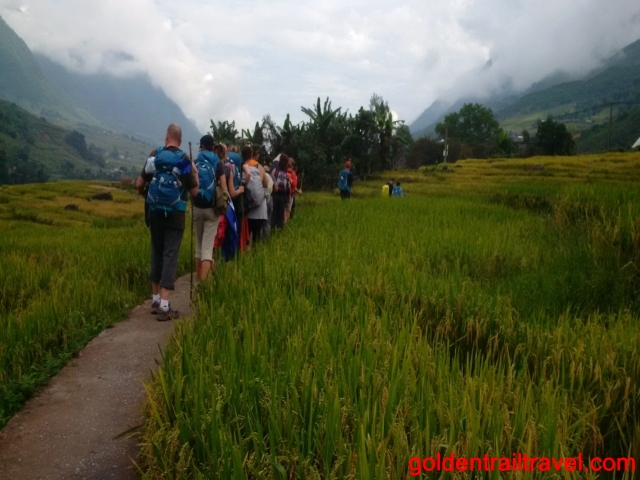 15 Days Halong Bay Kayaking Tour To Climb Fansipan Peak and Visit Ban Ho Village